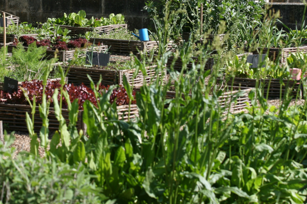 Le jardin des simples est un jardin en carré © Nicolas Macaire / LPO